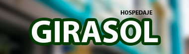 Logo Girasol